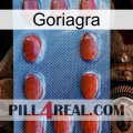 Goriagra 06